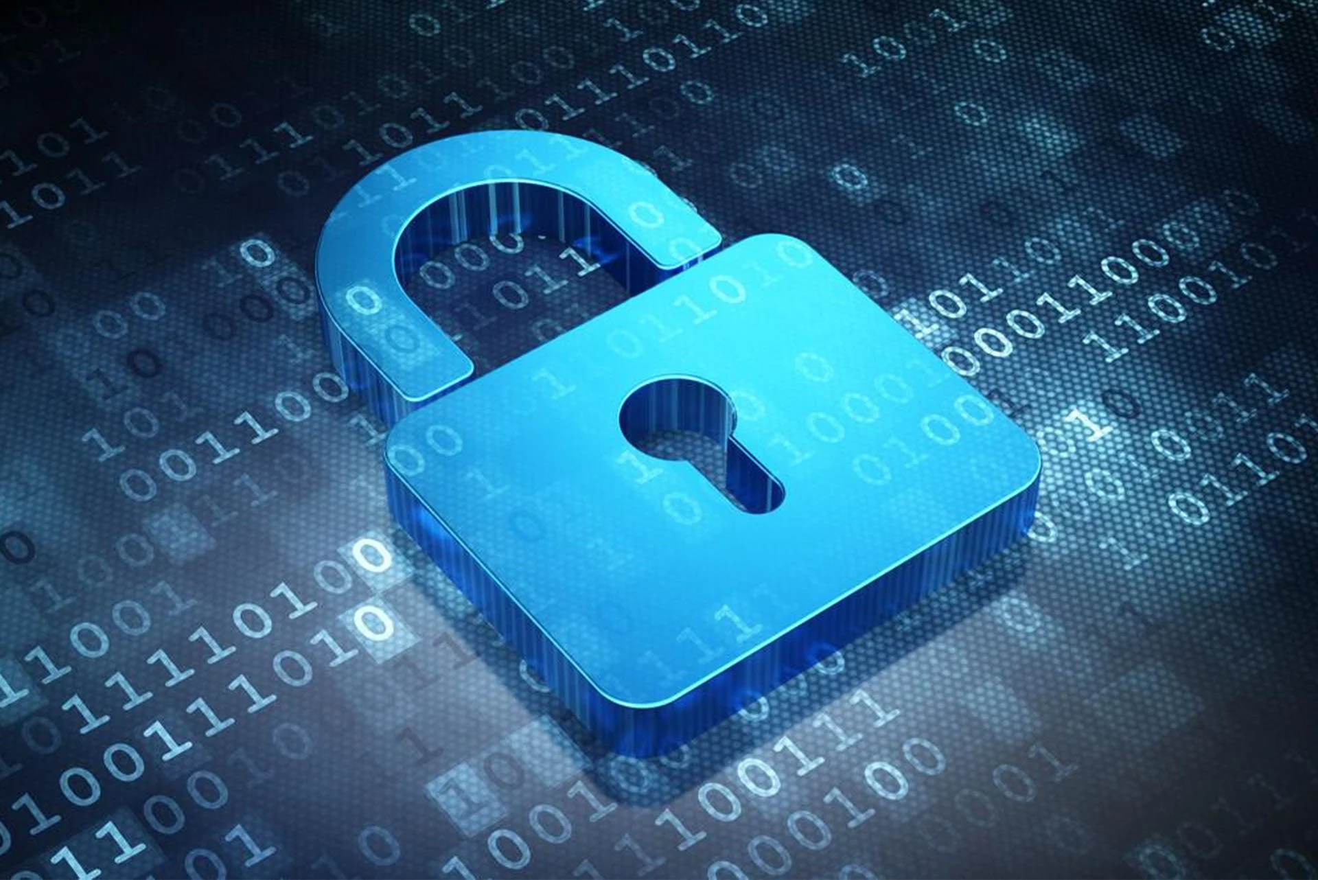 Tổng hợp những mẫu tranh hoa nghệ thuật đẹp nhất 2025